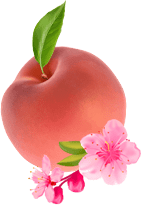 Coral Kirschblüte & Pfirsich