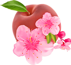 Coral Kirschblüte & Pfirsich